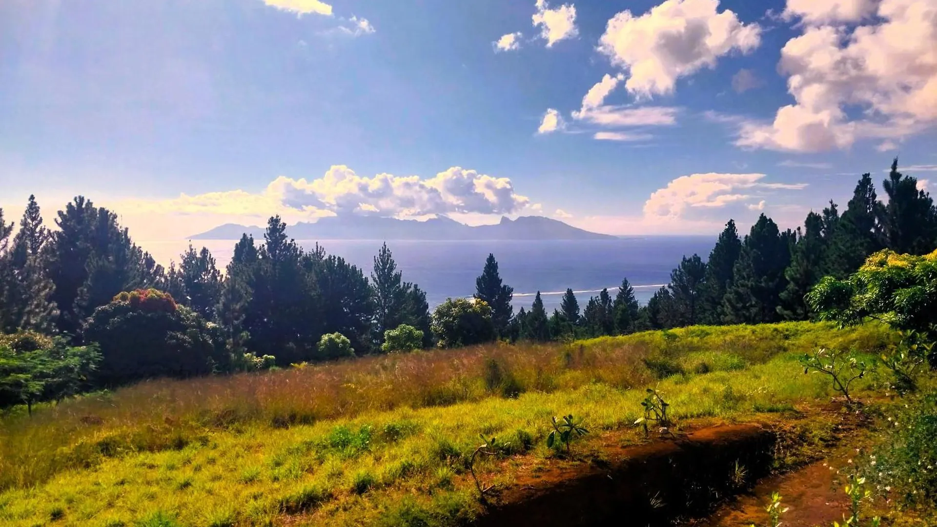 Punaauia  Tahiti Hills Lodge - 16 Pers פולינזיה הצרפתית
