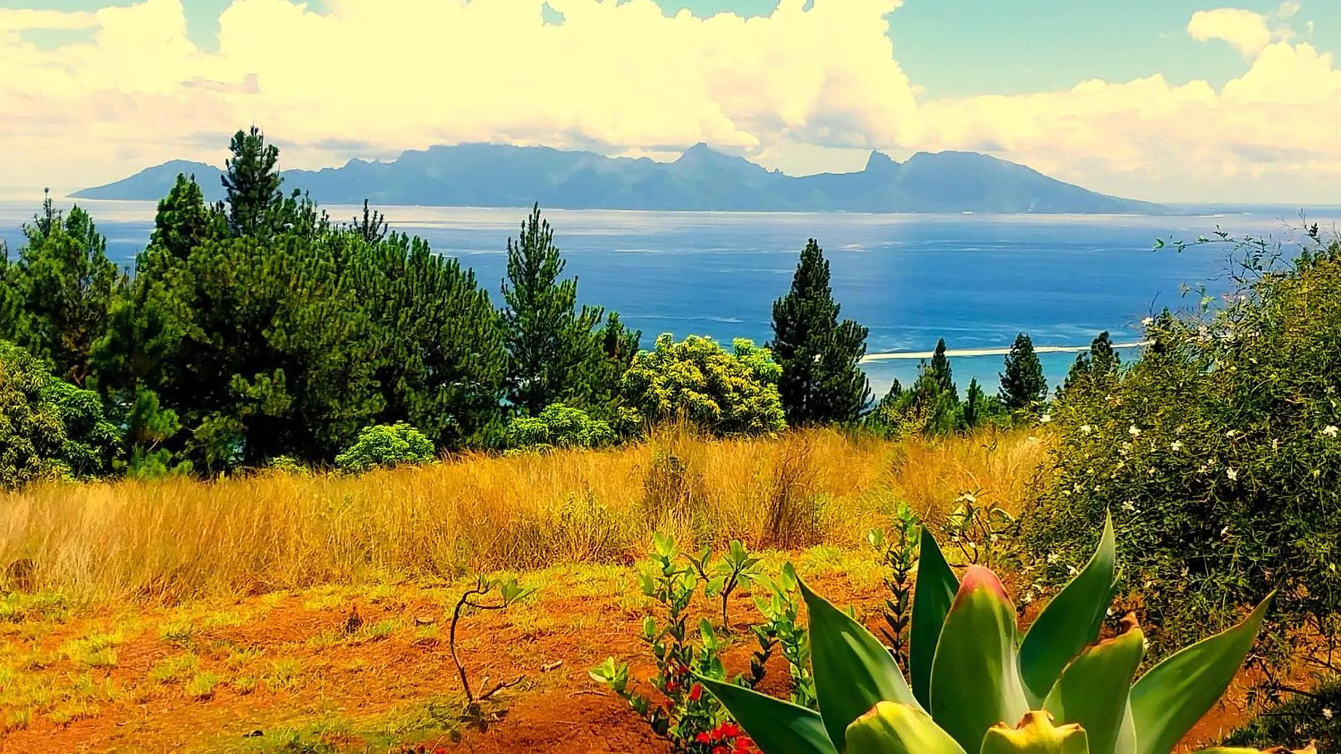 Punaauia  Tahiti Hills Lodge - 16 Pers פולינזיה הצרפתית